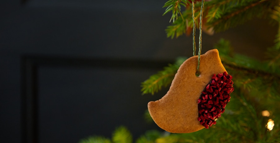 How to Have an Eco-Friendly Christmas | Denby